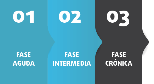 Fases de la enfermedad de Peyronie: fase aguda y fase crónica